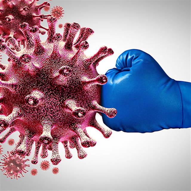 Disinfection And Sterilization